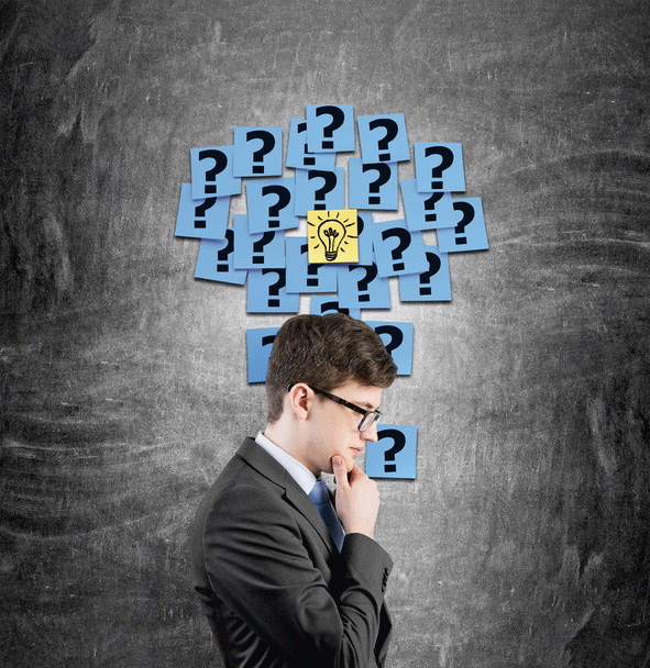 19 نکته مهم در مورد 7 گروه اصلی نژادهای سگ و انتخاب سگ مناسب برای شما